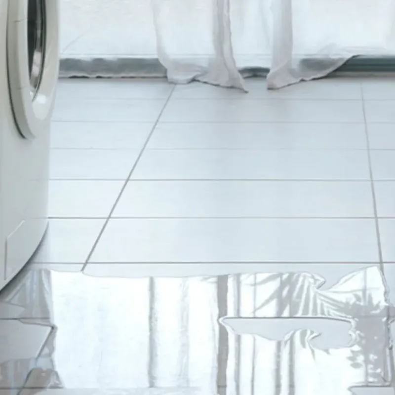 Appliance Leak Cleanup in Prospect Park, PA